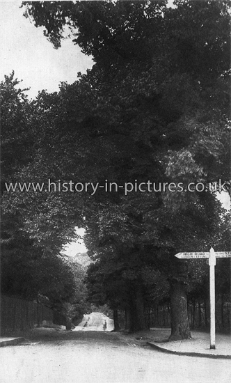 Roebuck Lane, Buckhurst Hill, Essex. c.1910